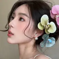 孟文琦