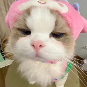小美.